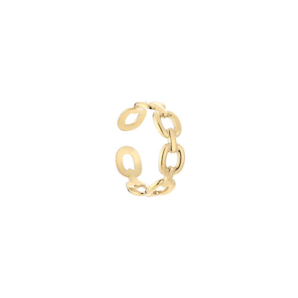 Chain ring Goud